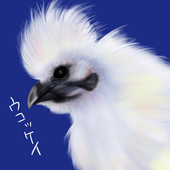 ウコッケイ