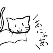 黒猫