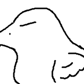 corvus