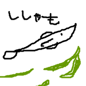 柳葉魚