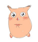 かなこ☆