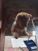 じし