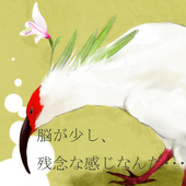 トキクサ