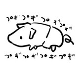 わかば