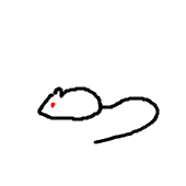 モルモット
