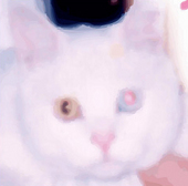 suhm