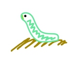 あじつぴ