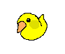 dan