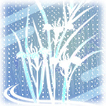 雨水