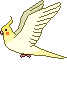 ばたき