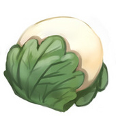 酔花