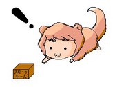 アイザー