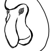 サルタ