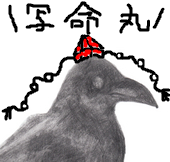 えるす