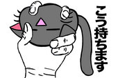 ねここ(_△_)