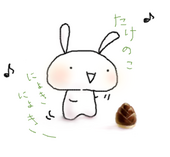 ﾎﾟﾙﾁｰﾆ