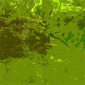 13番