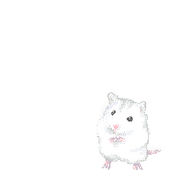 ぐぅ