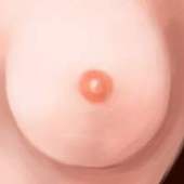 竹美