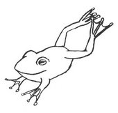 けむし