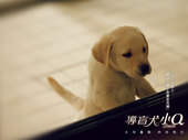 葉佐駿