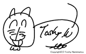 Toshy.N
