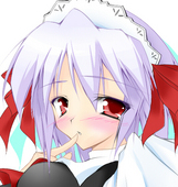 白猫