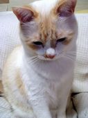 uk0116