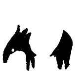 arupaQa