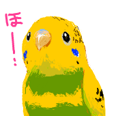 カジ