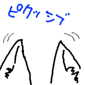 蜜柑