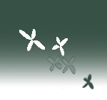 藪丹