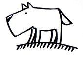 stevefox