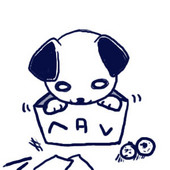 洸