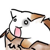 chapota