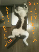 カンタロー13