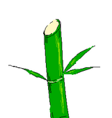 bamboo