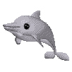 ｼﾛｲﾙ