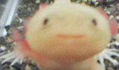 ヽ(´ー｀)ノ