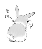あやはた