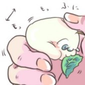 さっくり