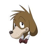 アニファム