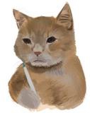 エンセイ