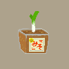 negimiso