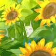 ナタデコ子