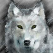 canis