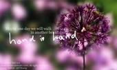 bydss