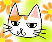 雫