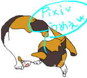 三毛猫