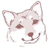 横山ぼん